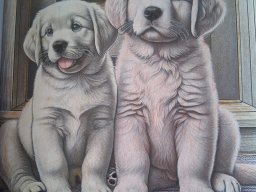 whatsapp image 2026-01-27 at 11.28.39